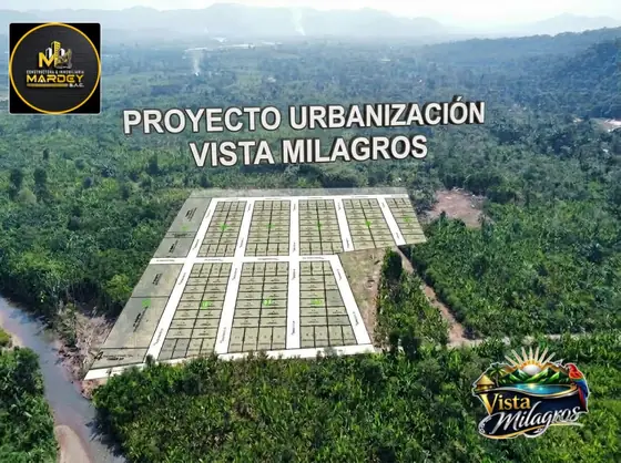 Vista aérea del terreno con el trazo de las manzanas dibujado encima