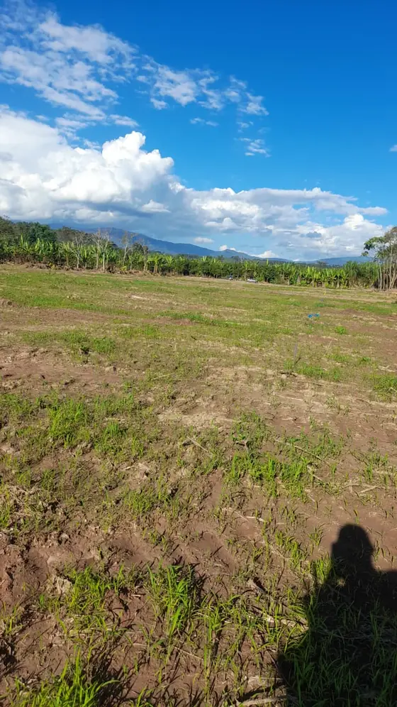 Campo abierto del proyecto con cerros de fondo