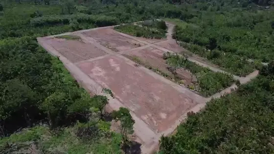 Vista aérea de las manzanas del lotizado