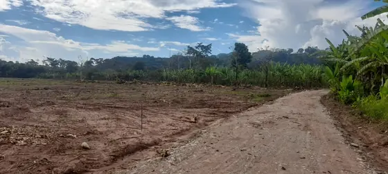 Calle de ingreso al lotizado